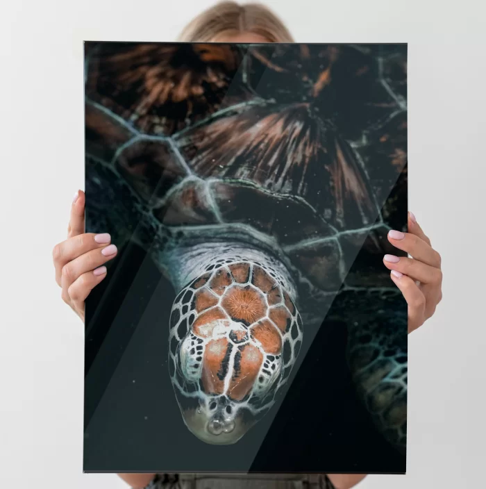 Quadro personalizado